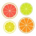 Set of slices of different citrus fruits isolated on white background. Juicy fruit. Vector Illustration. Royalty Free Stock Photo