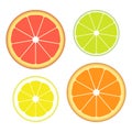 Set of slices of different citrus fruits isolated on white background. Juicy fruit. Vector Illustration. Royalty Free Stock Photo