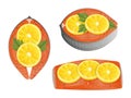 Set of slices of red fish with lemons. Object for packaging, Royalty Free Stock Photo