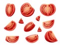 Set of slices of tomato on a white background. Chopped vegetable. Healthy vegetarian food. Vector illustration