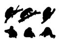 Set of Sloth Animal Silhouettes Royalty Free Stock Photo