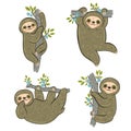 Set of sloths hanging on branches isolated on white background. Vector graphics