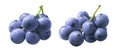 Set of small blue grape bunches isolated on white background Royalty Free Stock Photo