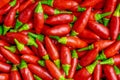 set of small defocused red chillies, useful for picture background.