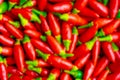 set of small defocused red chillies, useful for picture background.