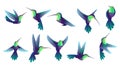 Set of small hummingbird cartoon animal design smallest bird in world vector illustration isolated on white background