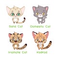 Set of small sized cat species Royalty Free Stock Photo