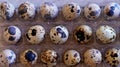 A set of small spotted quail eggs in a transparent box on the table