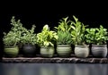 Set of small vases with aromatic plants for cooking or other uses. Healthy life. AI generated