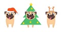 Set of smiling pugs dress up in christmas costume of Santa, xmas tree and Christmas deer.