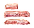 Set of smoked bacon, ham, pork for breakfast, delicious food, menu design, watercolor