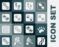 Set Snake paw footprint, Bear, Wild boar, Human, Dove, Seagull, footprints shoes and Paw icon. Vector Royalty Free Stock Photo