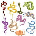 Set of snakes. Collection of cartoon snakes. Vector illustration of reptiles for children. Royalty Free Stock Photo