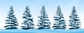 Set of snow-covered firs