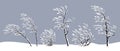 Set of Snow Covered Trees and Bushes