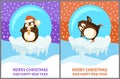 Set of Papercard of Snow-Globe with Penguin Vector