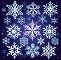 Set of snowflakes Royalty Free Stock Photo
