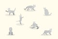 Set of soft pastel cute gray cat element modern geometric flat style. vector illustration eps10 Royalty Free Stock Photo