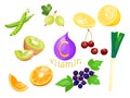 A set of sources of vitamin C. Ascorbic acid. Vector cartoon illustration of fruits, berries and vegetables