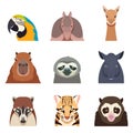 Set of south america animals flat icons Royalty Free Stock Photo