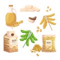 Set of Soy Products such as Tofu, Soy Milk and Flakes, Edamame Beans, Soy Sauce, Oil And Tempeh. Vegetarian, Vegan Diet