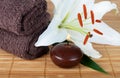 Set for spa-procedures on bamboo rug Royalty Free Stock Photo