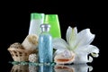 Set for spa-procedures On black background Royalty Free Stock Photo