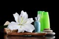 Set for spa-procedures On black background Royalty Free Stock Photo