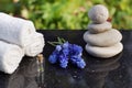 Set for spa procedures, massage stones, white terry towels and blue flowers Mischures on a polished granite table in the garden Royalty Free Stock Photo