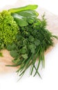 Set of Spice Herbs isolated on white background bunches of thyme, basil, oregano, parsley, sage and rosemary are hanging Royalty Free Stock Photo