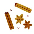 Set of spices. Cinnamon stick and brown anise flower.