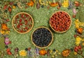 Set of spices, dry seeds with a high content of antioxidants, minerals and vitamins. Fruits of black and red mountain ash,