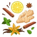 Set spices of ginger, lemon, vanilla, mint, cinnamon and cloves Royalty Free Stock Photo