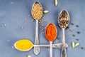 A set of spices and herbs. Indian cuisine. Royalty Free Stock Photo