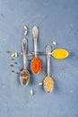 A set of spices and herbs. Indian cuisine. Royalty Free Stock Photo