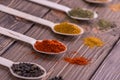 Set spices in measuring spoon. Cooking and seasoning for taste. Royalty Free Stock Photo