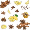 Set of spices for tea and coffee cinnamon, lemon, clove, anise cut out on a white background. Vector illustration