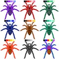 Spiders Tarantulas Set of 9 Colors Royalty Free Stock Photo