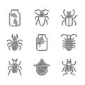 Set Spider In Jar, Beekeeper Hat, Beetle Bug, Larva Insect, Deer, Stink And Fireflies Bugs Icon. Vector