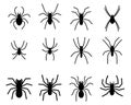 Set of spider silhouette icon and symbol