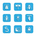 Set Spider, Snail, Beetle bug, Butterfly cocoon, Worm, Termite, Ant and Clothes moth icon. Vector