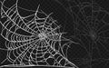 Set of different spiderwebs isolated on black, easy to print. Halloween set with web. Vector Illustration