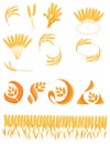 Set of spikelets of wheat. Collection of logos with wheat. Vector illustration of a plant. Logo of cereals.