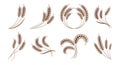 Set of spikelets of wheat, rye, barley. Brown design. Decor elements, logos, icons