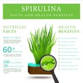 Set of spirulina algae infographics banner. Arthrospira seaweed