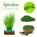 Set of spirulina algae, tablets, pills, powder and cells. Royalty Free Stock Photo