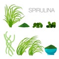 Set of spirulina algae, tablets, pills, powder and cells Royalty Free Stock Photo