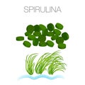 Set of spirulina algae, tablets, pills, powder and cells Royalty Free Stock Photo