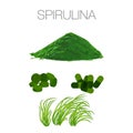 Set of spirulina algae, tablets, pills, powder and cells Royalty Free Stock Photo