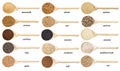 Set of spoon with many seeds and grains with names